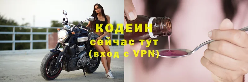 omg ONION  где можно купить   Каргополь  Кодеин Purple Drank 